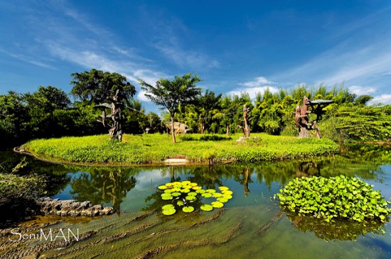 Garden in Bali Safari and Marine Park
