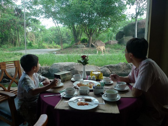 Restaurant with the view of animal in Bali Safari and Marine Park