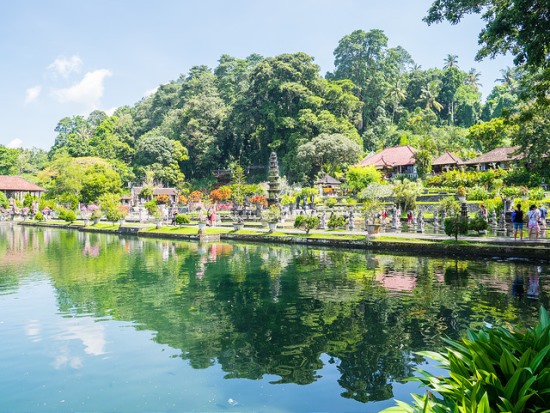 The huge pond of Tirta Gangga Bali