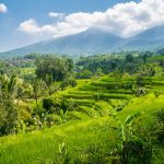 Bali UNESCO world heritages Jatiluwih Rice Fields