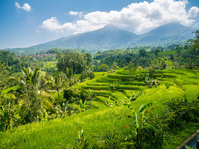 Bali UNESCO world heritages Jatiluwih Rice Fields