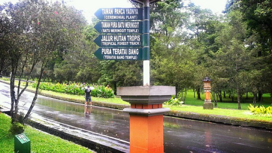 Gardens and Temples in Bali Botanical Garden