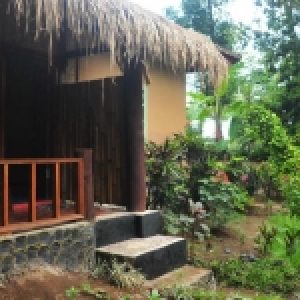 Green Haven Homestay