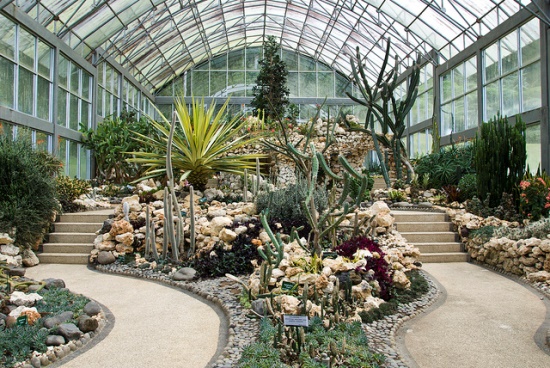 House of cactus at Bali Botanical Garden