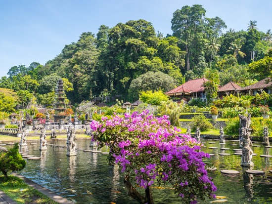 One side of Tirta Gangga Bali