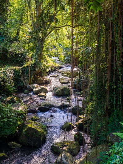 Pakerisan River near Gunung Kawi Temple