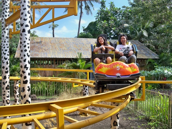 Rides in Bali Safari and Marine Park