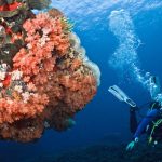 Snorkeling at Crystal Bay Nusa Penida Bali