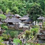 The pond and holy springs at Gunung Kawi Temple