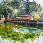 The pond at the center of Pura Tirta Empul