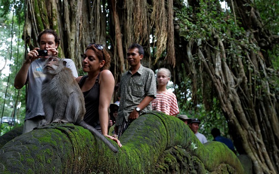 monkey forest ubud bali